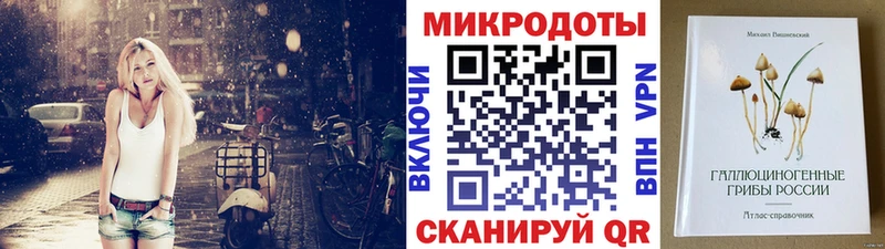 Псилоцибиновые грибы Cubensis  Иннополис 